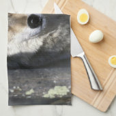 Linge De Cuisine Amérique du Nord, USA, Minnesota. Wolf Canis (Quart Plié)