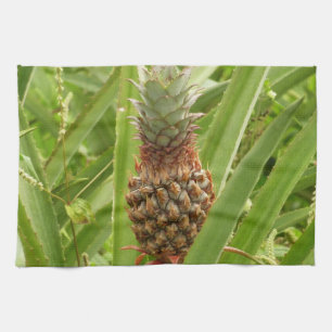Linge De Cuisine Ananas sauvage Fruit tropical dans la nature