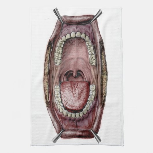 Linge De Cuisine anatomie de bouche (Vertical)