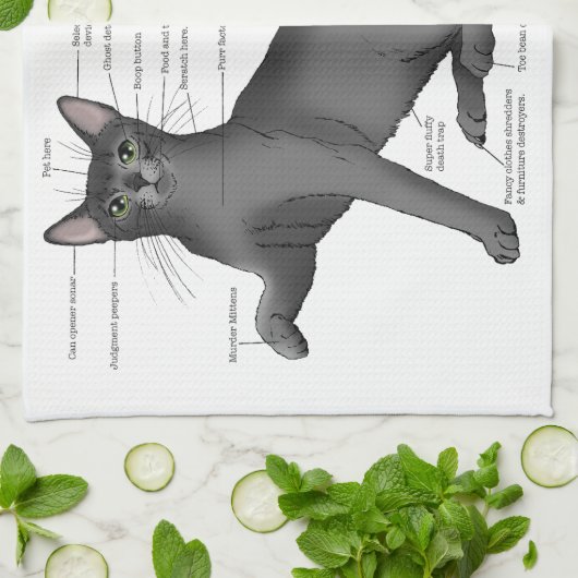 Linge De Cuisine Anatomy of a Cat (Plié)