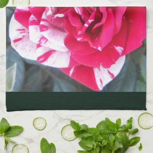 Linge De Cuisine Ancienne (Plié)