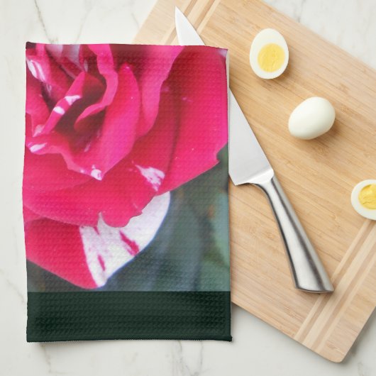 Linge De Cuisine Ancienne (Quart Plié)