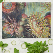 Linge De Cuisine Anémone de mer Nature scientifique Océan (Plié)