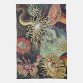 Linge De Cuisine Anémone de mer Nature scientifique Océan (Vertical)