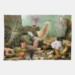 Linge De Cuisine Anémones de mer Vie marine, Animaux marins vintage