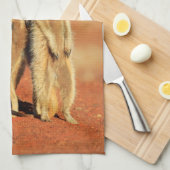 Linge De Cuisine Animaux de bébés cutest | 3 Meerkats (Quart Plié)