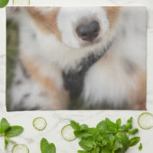 Linge De Cuisine Animaux de bébés cutest | Australian Shepherd Pupp (Plié)