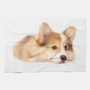 Linge De Cuisine Animaux de bébés cutest Baby Corgi Portrait de c