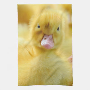 Linge De Cuisine Animaux de bébés cutest Baby Duck Group