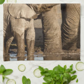 Linge De Cuisine Animaux de bébés cutest | Baby Elephant & Mama (Plié)