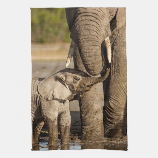 Linge De Cuisine Animaux de bébés cutest | Baby Elephant & Mama (Vertical)