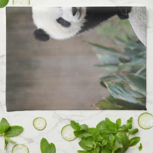 Linge De Cuisine Animaux de bébés cutest | Baby Panda géant (Plié)