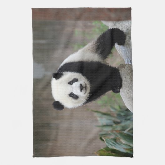 Linge De Cuisine Animaux de bébés cutest | Baby Panda géant (Vertical)
