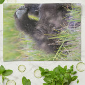 Linge De Cuisine Animaux de bébés cutest | Bébé Ours Brown (Plié)