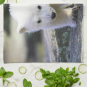 Linge De Cuisine Animaux de bébés cutest | Bébé Ours polaire (Plié)