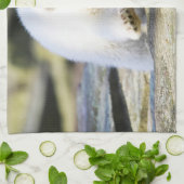 Linge De Cuisine Animaux de bébés cutest | Bébé Ours Polaire Cub (Plié)