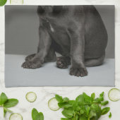 Linge De Cuisine Animaux de bébés cutest | Blue French Bulldog Pupp (Plié)