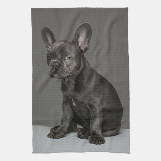 Linge De Cuisine Animaux de bébés cutest | Blue French Bulldog Pupp (Vertical)