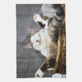 Linge De Cuisine Animaux de bébés cutest | Chat dans le lit (Vertical)