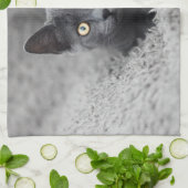 Linge De Cuisine Animaux de bébés cutest | Chat gris (Plié)