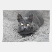 Linge De Cuisine Animaux de bébés cutest | Chat gris (Horizontal)