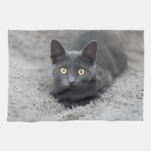 Linge De Cuisine Animaux de bébés cutest | Chat gris (Horizontal)