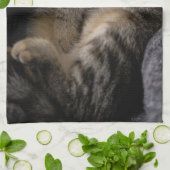 Linge De Cuisine Animaux de bébés cutest | Chat Tabby Dormant (Plié)
