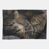 Linge De Cuisine Animaux de bébés cutest | Chat Tabby Dormant (Horizontal)