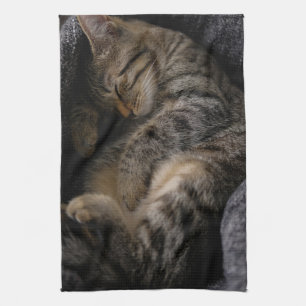Linge De Cuisine Animaux de bébés cutest Chat Tabby Dormant