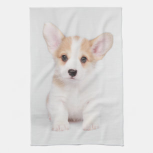 Linge De Cuisine Animaux de bébés cutest   Chiot de Corgi blanc