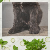 Linge De Cuisine Animaux de bébés cutest | Cockapoo Puppy (Plié)