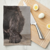 Linge De Cuisine Animaux de bébés cutest | Cockapoo Puppy (Quart Plié)