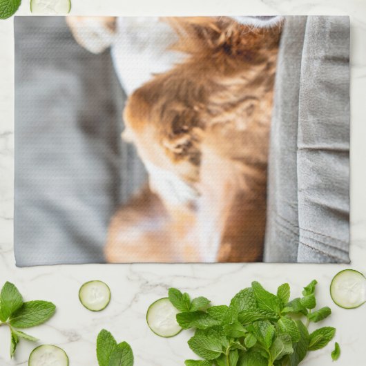 Linge De Cuisine Animaux de bébés cutest | Cocker Spaniel (Plié)