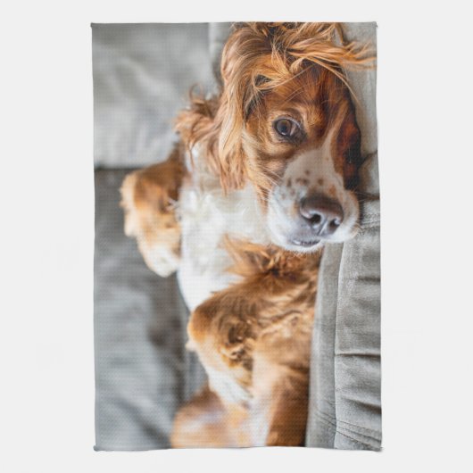 Linge De Cuisine Animaux de bébés cutest | Cocker Spaniel (Vertical)