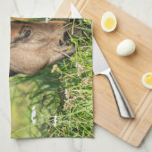 Linge De Cuisine Animaux de bébés cutest | Colt à cheval (Quart Plié)