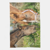 Linge De Cuisine Animaux de bébés cutest | Colt à cheval (Vertical)