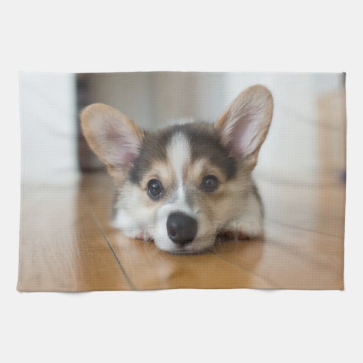 Linge De Cuisine Animaux de bébés cutest | Corgi Puppy (Horizontal)