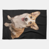 Linge De Cuisine Animaux de bébés cutest | Corgi Puppy Smile (Horizontal)