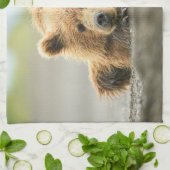 Linge De Cuisine Animaux de bébés cutest | Cub d'ours Brown côtier (Plié)