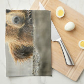 Linge De Cuisine Animaux de bébés cutest | Cub d'ours Brown côtier (Quart Plié)