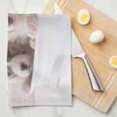 Linge De Cuisine Animaux de bébés cutest | Cute Corgi Chipies dans  (Quart Plié)