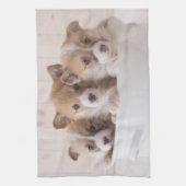 Linge De Cuisine Animaux de bébés cutest | Cute Corgi Chipies dans  (Vertical)