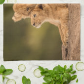 Linge De Cuisine Animaux de bébés cutest | Deux Lions Cubs (Plié)