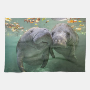 Linge De Cuisine Animaux de bébés cutest   Deux Manatees