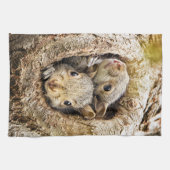 Linge De Cuisine Animaux de bébés cutest | Écureuils curieux (Horizontal)