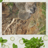 Linge De Cuisine Animaux de bébés cutest | Famille Hérisson (Plié)