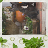 Linge De Cuisine Animaux de bébés cutest | French Bulldog Halloween (Plié)