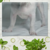 Linge De Cuisine Animaux de bébés cutest | French Bulldog Puppy (Plié)