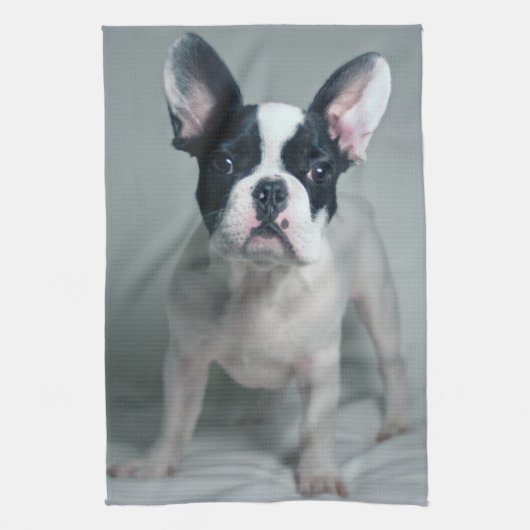 Linge De Cuisine Animaux de bébés cutest | French Bulldog Puppy (Vertical)