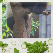 Linge De Cuisine Animaux de bébés cutest | Géant Panda Cub (Plié)